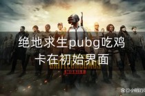 绝地求生战术竞技生存指南新手必学十项高胜率吃鸡技巧解析