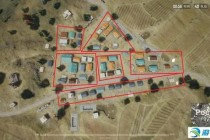 绝地求生小树苗隐藏战术解析新手必学生存技巧与实战打法