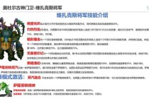魔兽世界黑翼血环巢穴全BOSS攻略与高阶战术细节解析