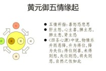 灵气疗愈秘诀全新升级气劲流转治疗术与内功恢复机制深度解析