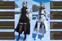 FF14学者职业新手入门攻略从零开始掌握治疗与输出技巧