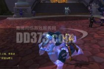 魔兽世界凤凰琴当前售价与获取途径全面解析