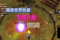 魔兽世界宠物对战快速升级技巧与高效训练方法全解析