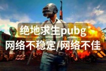 绝地求生网速要求实测稳定吃鸡必备网络优化与延迟降低全攻略