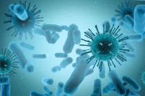 H1N1绝地大流行下的全球联防联控机制创新与实战经验解密