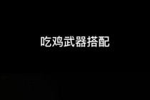 绝地求生进阶枪法查缺补漏与实战吃鸡技巧深度解析