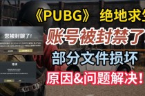 绝地求生售后服务全攻略：账号封禁申诉与游戏崩溃问题修复技巧详解