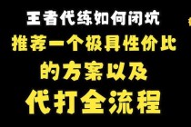 王者荣耀代打高清实战图片素材与技巧攻略深度解析合集