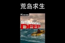荒岛求生攻略资源获取技巧与恶劣环境生存法则深度解析