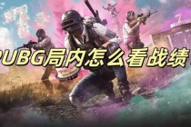 绝地求生刚枪王制胜秘籍十大实战技巧助你快速登顶无敌战神