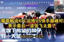 英雄联盟巅峰对决：电竞解说员的逆袭征途与战术密码