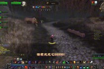烈焰重燃百级征程魔兽世界巅峰版本职业进阶与团本开荒终极指南